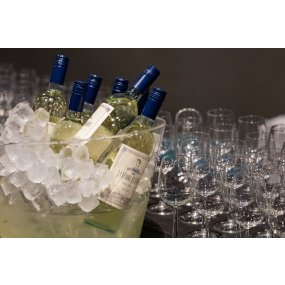 horecabrains-tessadenneman-44