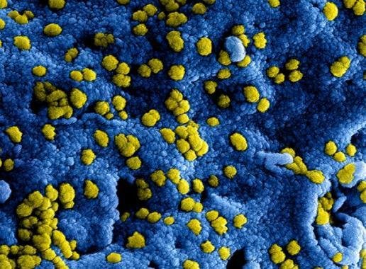 nieuw_coronavirus_in_china-1